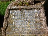 image of grave number 490929